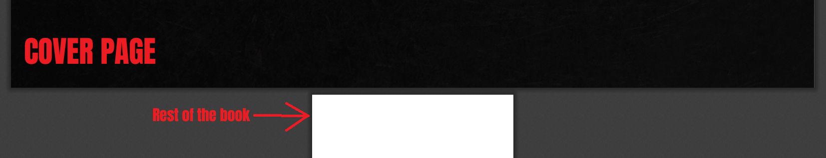 snapshot of book.png